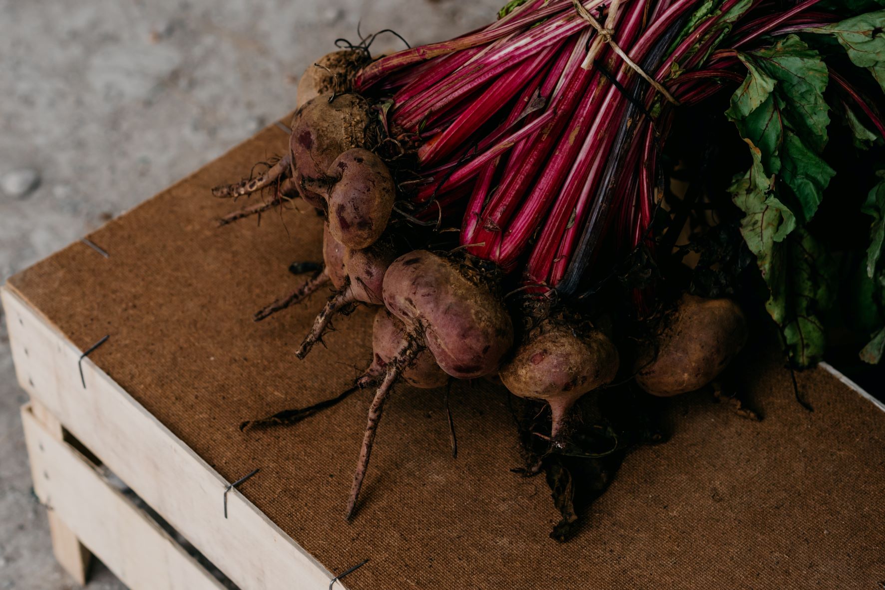 Warzywa korzeniowe – które z nich znasz?
